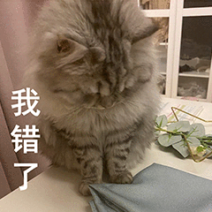 第 11 张表情