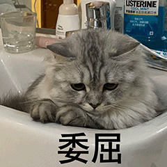 第 9 张表情