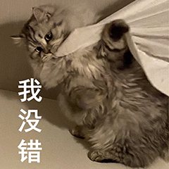 第 12 张表情