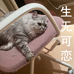 第 5 张表情