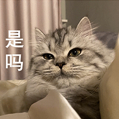 第 6 张表情