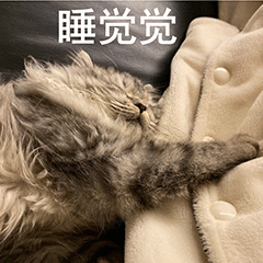 第 7 张表情