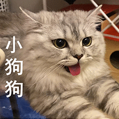 第 14 张表情