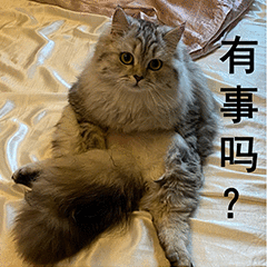 第 16 张表情