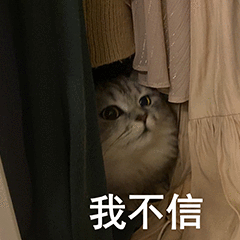 第 10 张表情