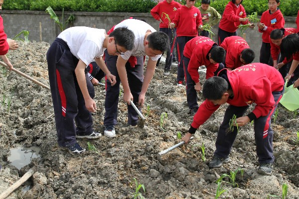 学农基地——青青农场
