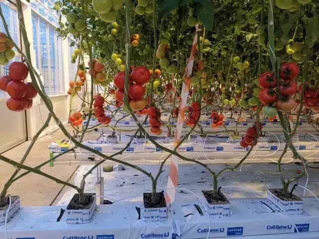 國外是如何建設農業科技園的？有哪些值得我們借鑒？