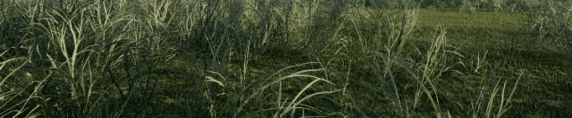 640.gif