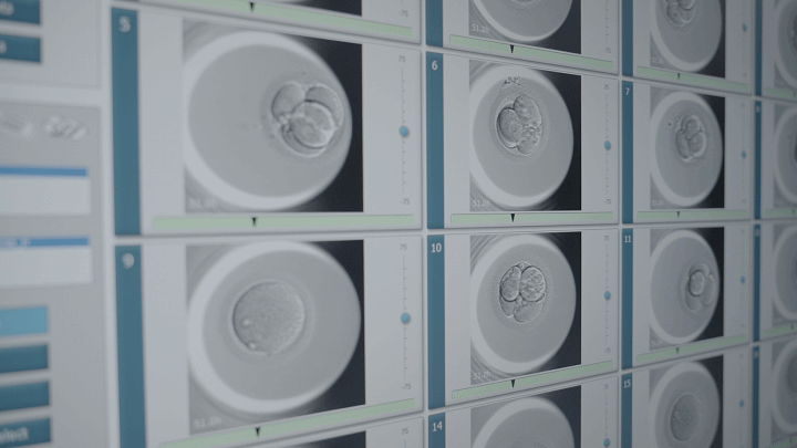 胚胎评分高就一定能成功怀孕？