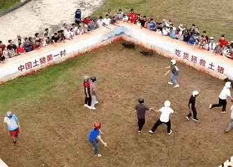 12月8日 (3)(1).gif