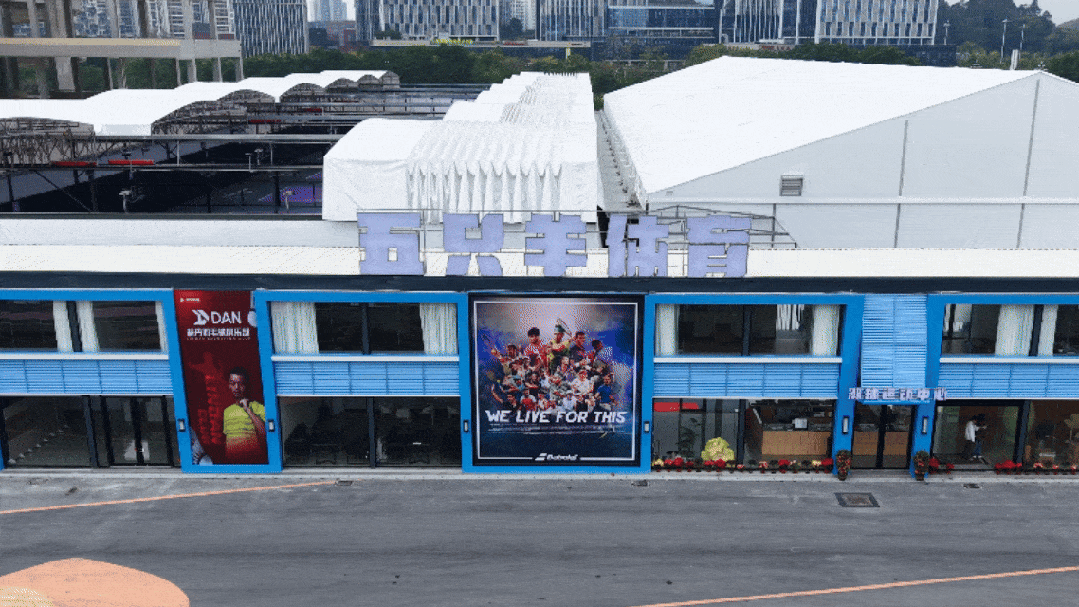五只羊_compressed.gif