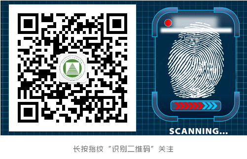 神经丛刺激针是什么各种麻醉神阻法详解！推荐收藏！_https://www.jmylbn.com_新闻资讯_第20张