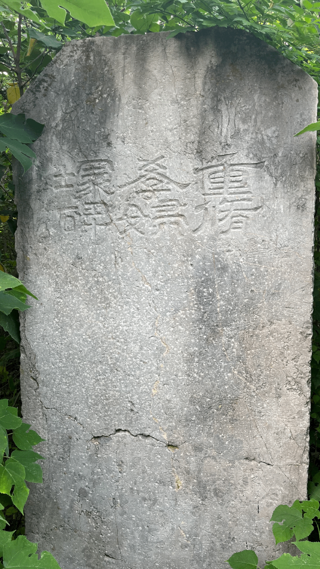 韩浩月|我故乡的两位著名女性