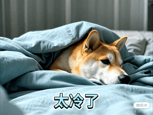 -3℃，蚌埠天气……