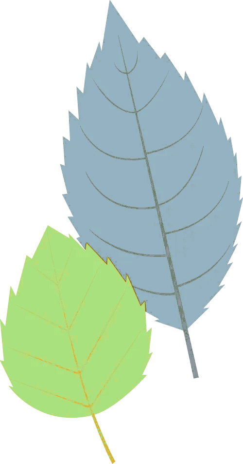 4月自考：这些行为直接作废(图5)