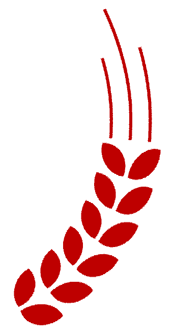 ͼƬ