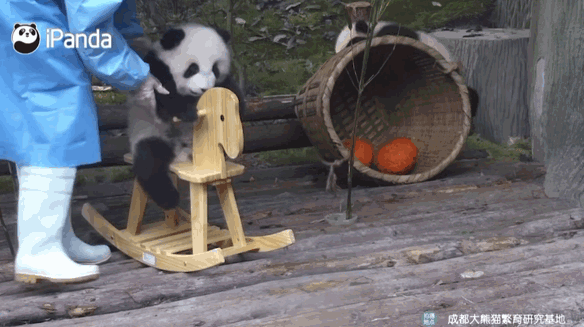 额头上有很多绒毛在面相上_额头上绒毛是福气_额头上绒毛多女子命运