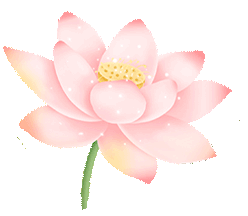 杰星科技2025端午節(jié)放假通知