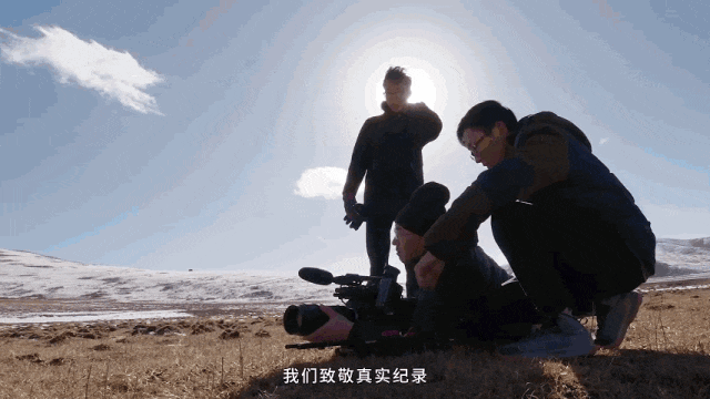 学院奖回顾｜虚实之间：AI时代，纪录片如何坚守“真实纪录”？