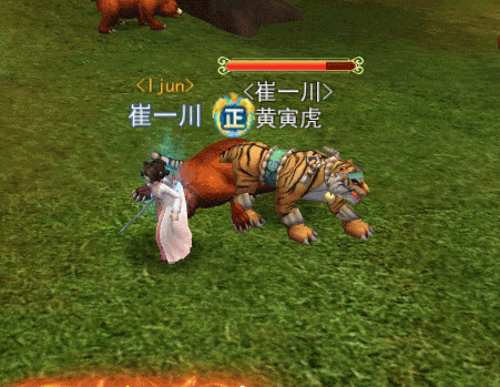 黄寅虎战斗展示