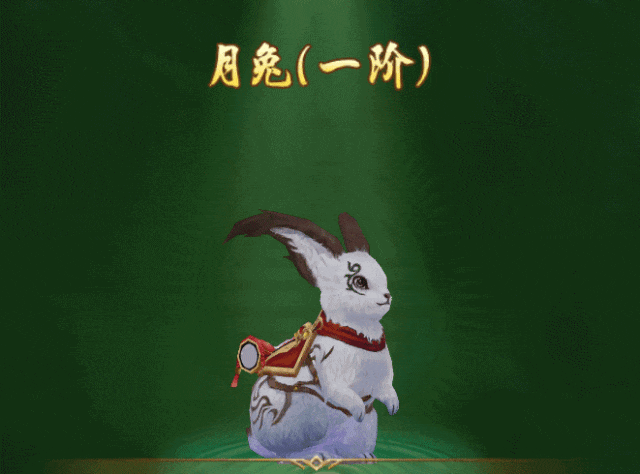 热血江湖手游坐骑共五阶，每十级为一阶，可通过消耗「坐骑升级丹」提升等级