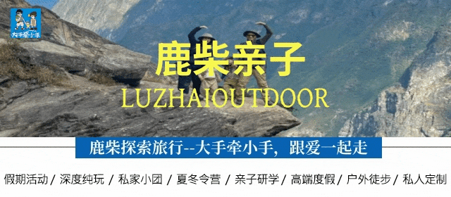 鹿柴亲子抬头.gif