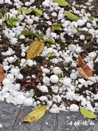 十堰这些地方下冰雹了接下来的天气是