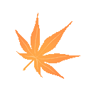 妇科臭氧治疗仪怎么用治疗妇科炎症利器——一体式臭氧妇科治疗仪_https://www.jmylbn.com_新闻资讯_第6张