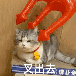 249_249gif 动态图 动图