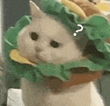 这个 国产免费AI工具合集 ，有AI写作、AI办公...让我直接躺平！(建议收藏)