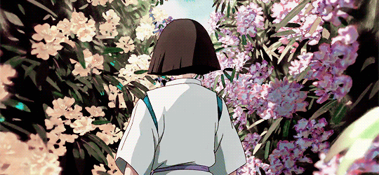 对2020年的花卉行业，我有十个猜想~