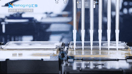 智能菌落挑選：微生物領域的無人化新引擎