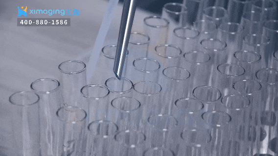 告別人工分裝低效：智能加液器如何重塑實驗室分液新范式