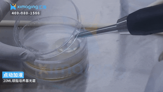 告別人工分裝低效：智能加液器如何重塑實驗室分液新范式