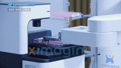 智啟方寸，靈協科研 | 匯像&ldquo;智靈者&rdquo;協作機器人開啟實驗自動化新篇