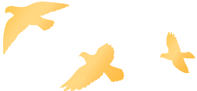 医院病床怎么摇高打破“科室墙” 盘活“一张床” 大庆市人民医院推行“全院一张床”管理模式_https://www.jmylbn.com_新闻资讯_第8张