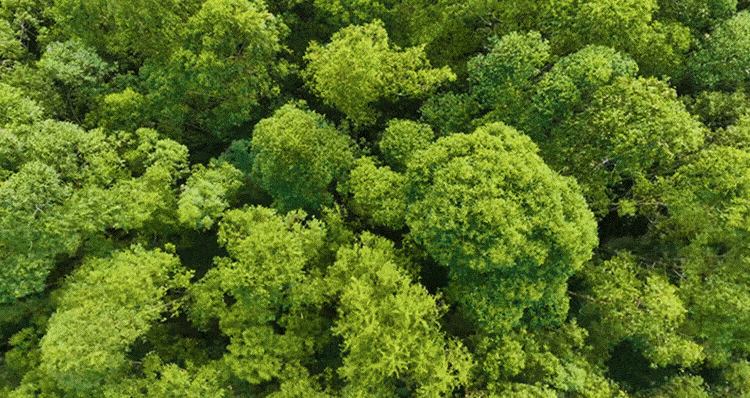 越秀公交天悦云山府90㎡~160㎡，旁边有学校加入？