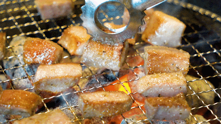 牛肋条肉是牛的哪个部位_牛部位肉肋条是哪个部位_牛的肋条肉在哪个部位