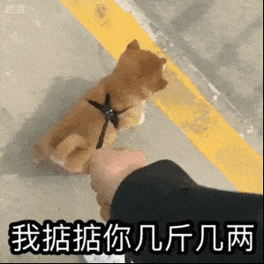 单胚胎移植已成为主流，那高龄人群也适合吗?