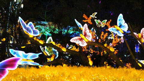 4.gif