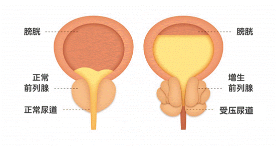 763df91b4cb38f2501179393c4a493a0