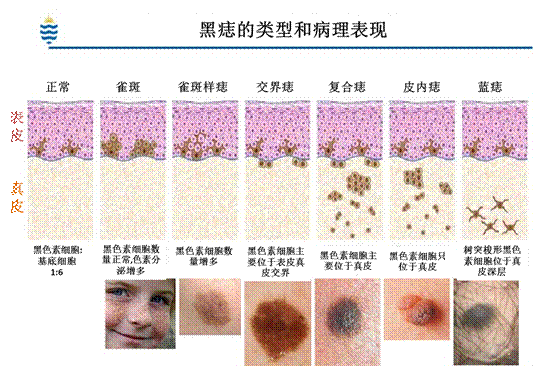 8b566b1521ae58e4e7283e9d689f84c3