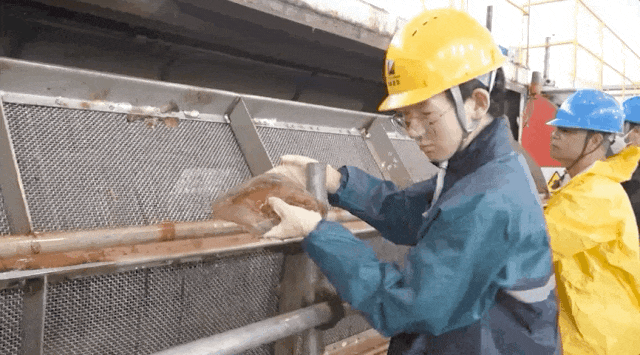 抓不完！浙江一发电厂遭海蜇“大规模入侵”，什么原因造成的？