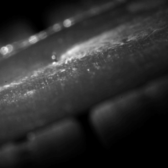 锂电极片切割进入绿光时代：技术进展与产业趋势分析