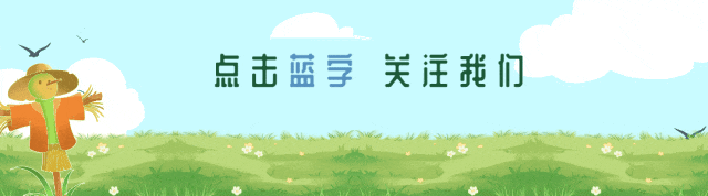 【定西野生药用植物资源之四】淫羊藿