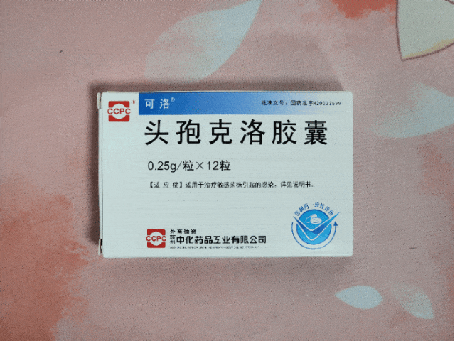 【药图】头孢克洛胶囊（可洛）（苏州中化）