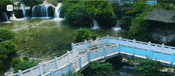 人才生活绿意.gif