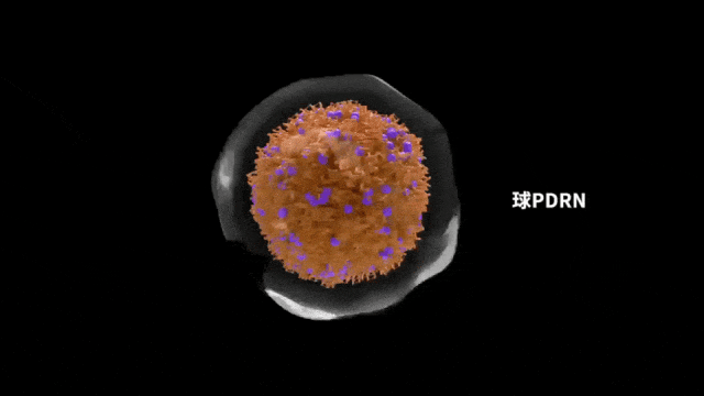 绽媄娅的产品怎么样比买包爽100倍！糕妈的“医美平替”太绝了！素颜年轻5岁，连老公都夸认不出_https://www.jmylbn.com_新闻资讯_第19张