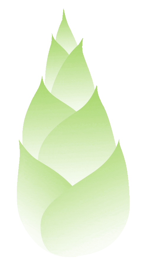 冲击波治疗效果怎么样【疼痛终结者】冲击波＋超声波疗法让止痛效果加倍_https://www.jmylbn.com_新闻资讯_第3张