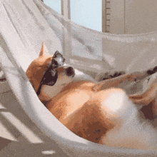 24449EDA.gif